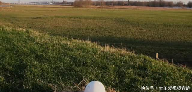 臻迪小巨蛋无人机,臻迪powereggx小巨蛋评测