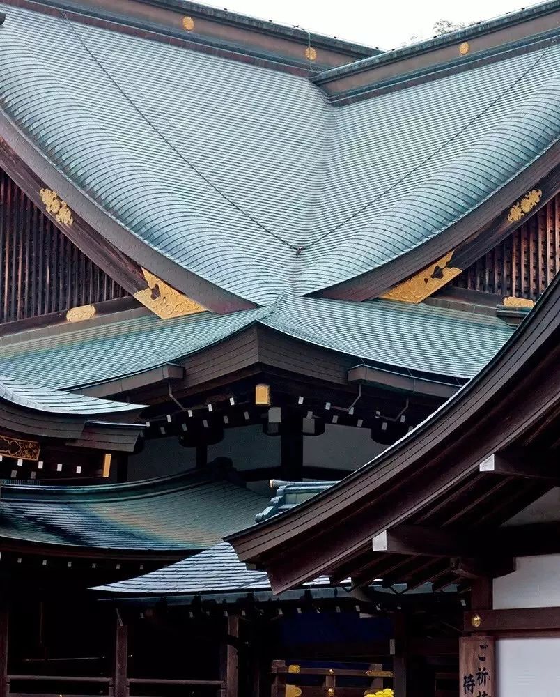 泡全球仅一家的珍珠温泉，上小众景美的雪场滑雪，99%游客都不知道的日本玩法