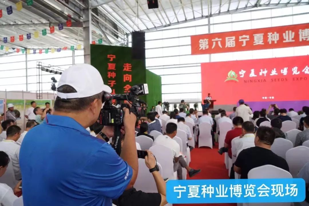 用它种菜比化肥还好,蔬菜制种问题