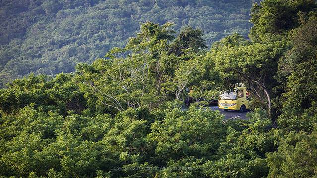 近七天游三亚,海南轻松游