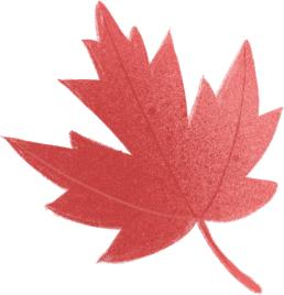 泸州青少年宫,泸州少年宫培训课程时间安排