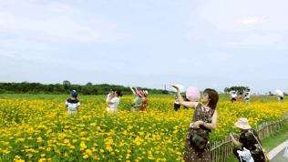 成都双流区旅游省钱攻略推荐,五一在双流适合去哪旅游