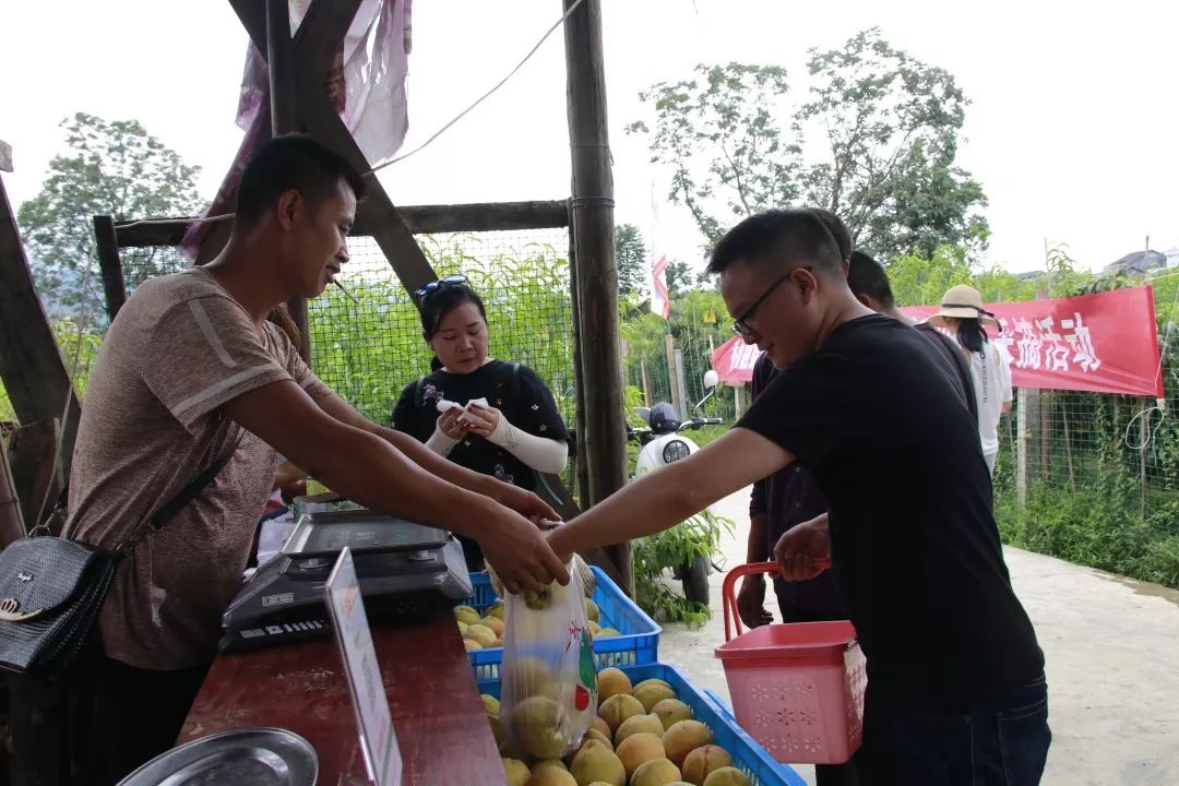 购购购！今天这里超热闹