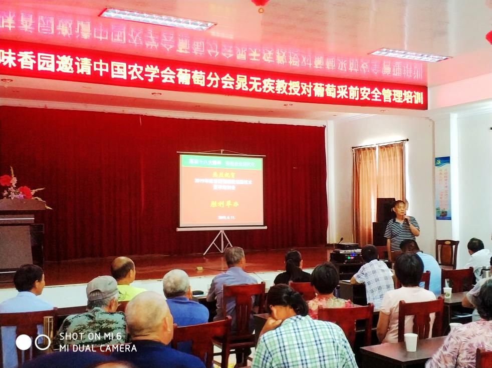 农技专家服务团助力乡村振兴,市科协助力乡村振兴提供科技智库