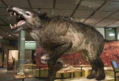 在十二生肖中人类的祖先是指什么,十二生肖的前身都是什么