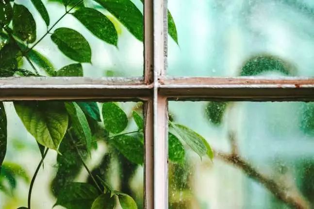 不朽的勋章,不朽的记忆