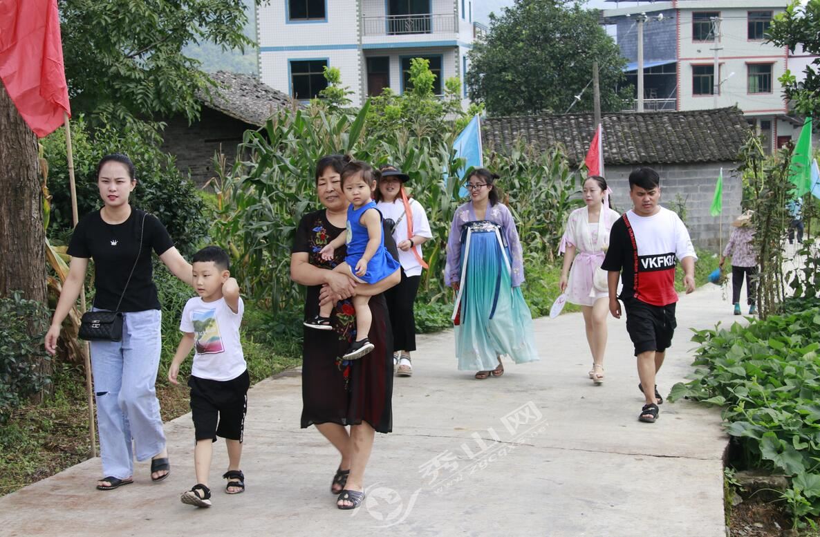 清溪黄桃园开展采摘活动,清溪龙凤维刚黄桃采摘园