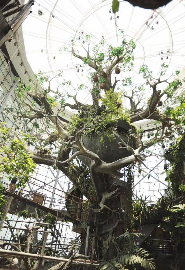 迪拜七日游旅游攻略大全最新,迪拜五日游自由行攻略