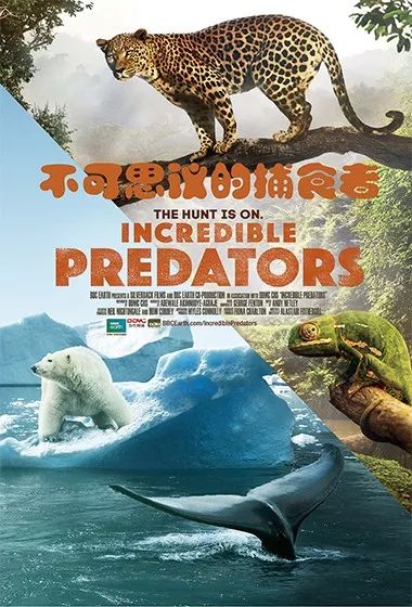 暑期观影季,暑期观影嗨翻天