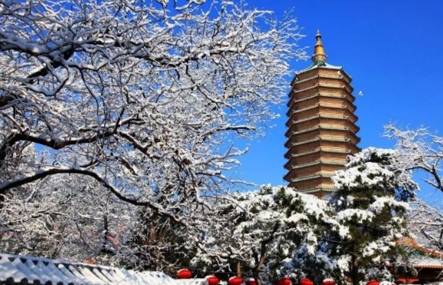 “四张新名片”带你打卡“一枝独秀”的石景山