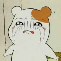 一次沉痛的教训,一次惨痛的血的教训