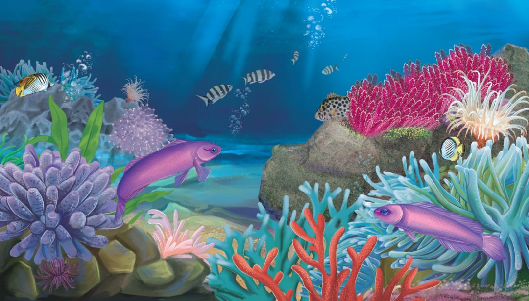 哪些异型鱼好看长得还不大,长得好看的鱼