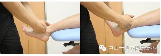 康复治疗技术人体解剖学,12条筋膜链解析及治疗手法