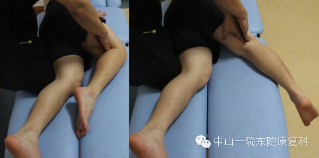 筋膜的康复训练方法,12条筋膜链解析及治疗手法