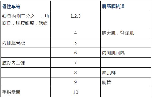 筋膜的康复训练方法,12条筋膜链解析及治疗手法