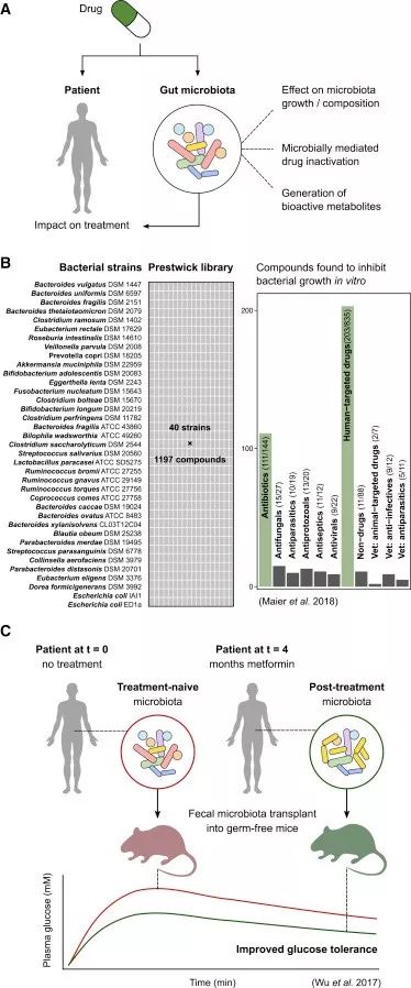 cell子刊biology,cell子刊文章