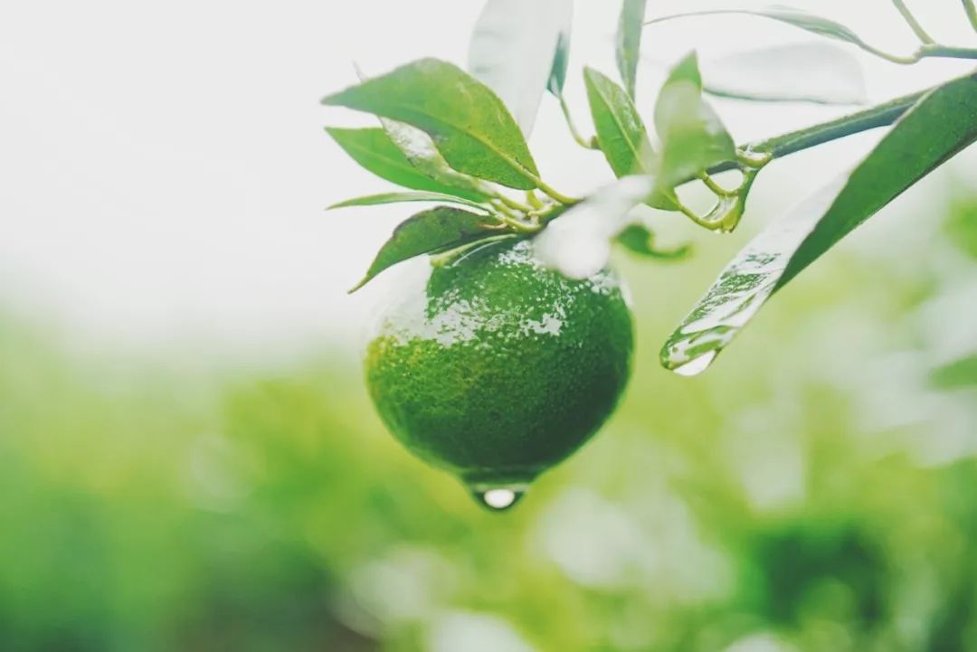 8月份好物,8月好物