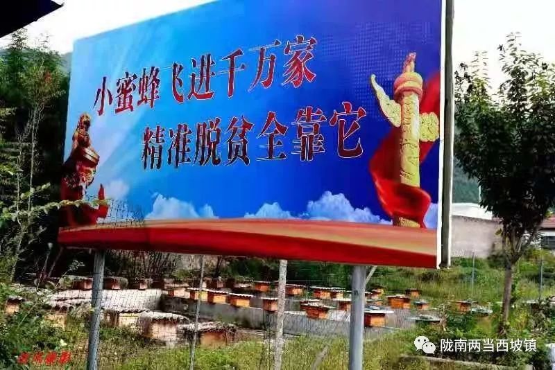 合作社带头贫困户增收,农民专业合作社带动贫困户分红