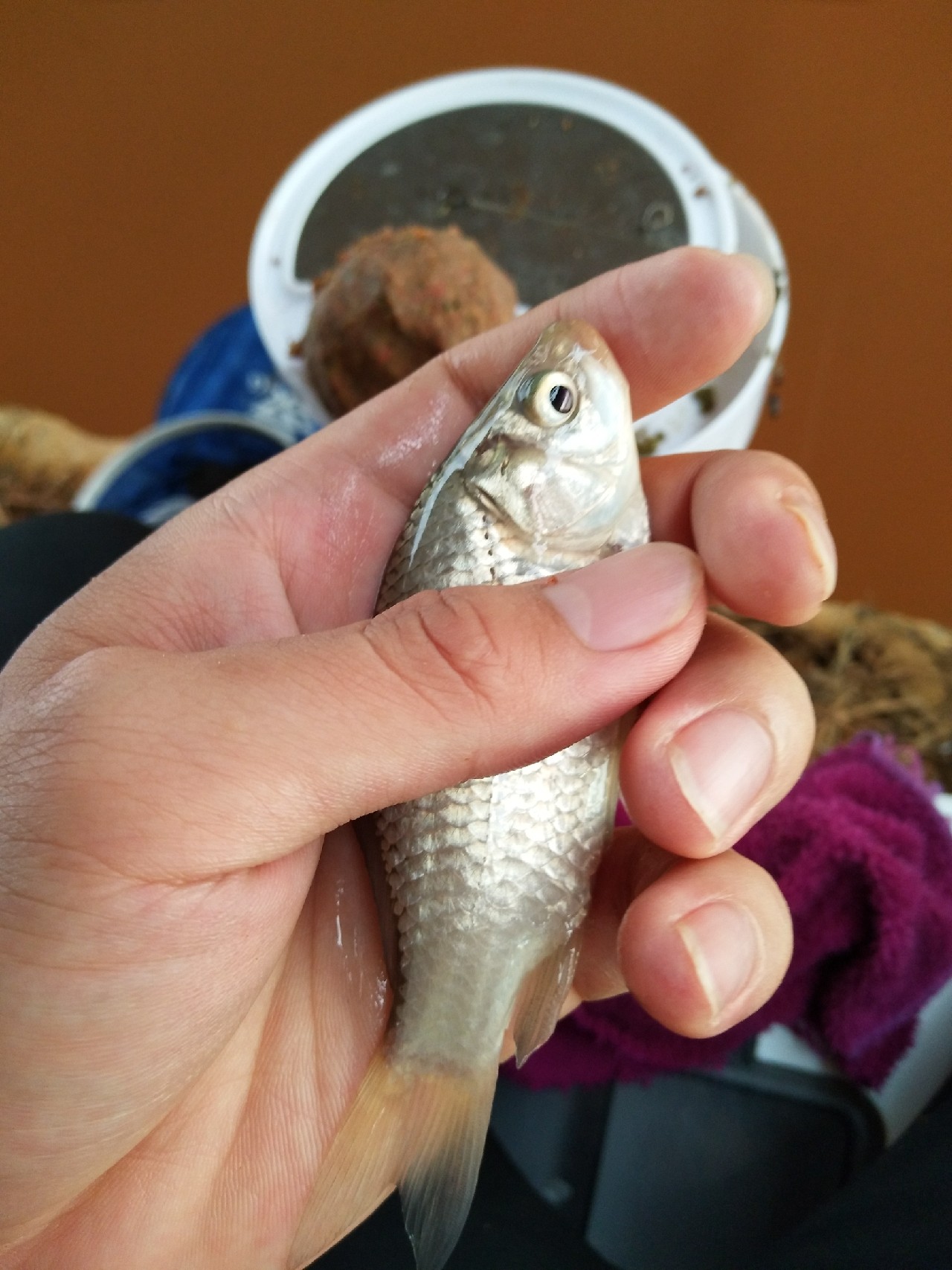 一不小心成坑冠，奈何狂拉还是败给网工...