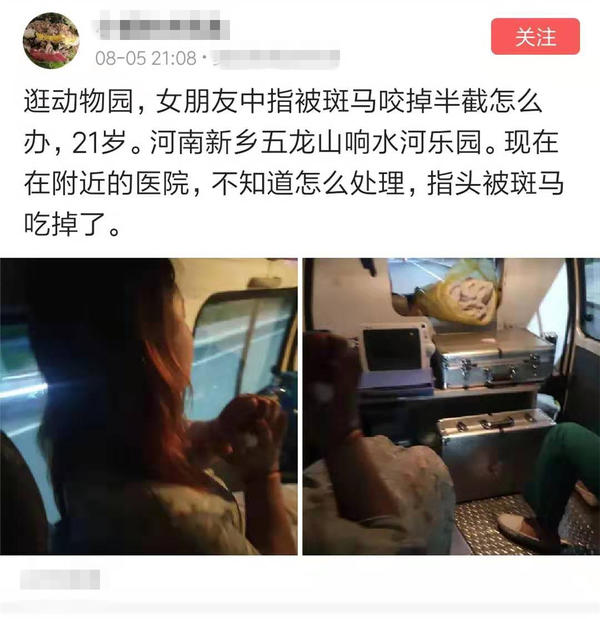 事发辉县！游乐园内女孩被斑马吞掉一截手指，园方回应