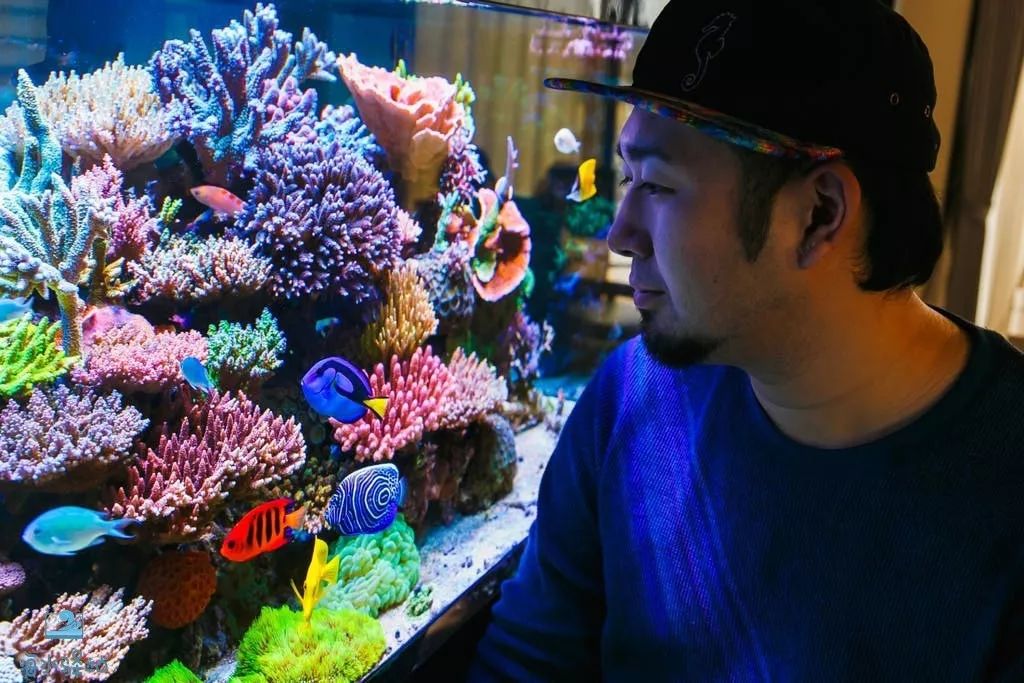 2019年我大学毕业后在日本开个海水店