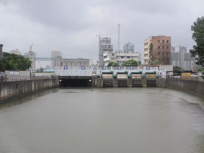 控江路视频,控江路到海昌海洋要多久