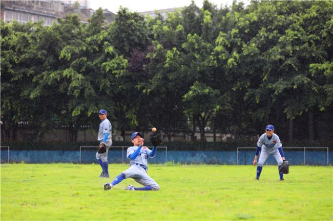 世警会2022,世警会战队