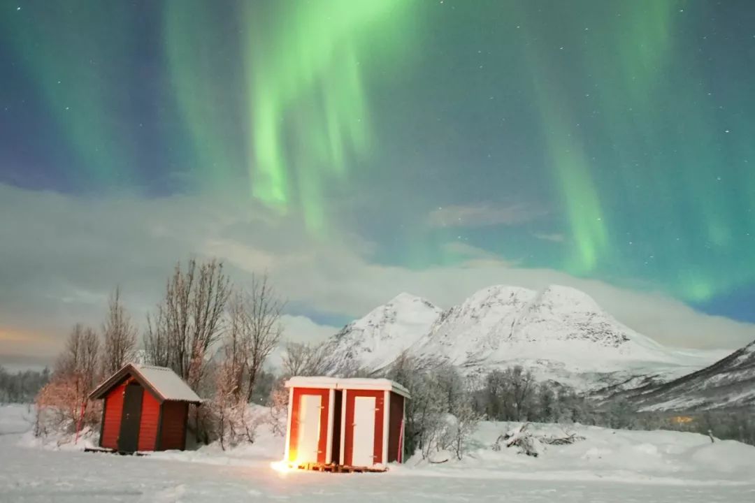 为什么我们迷恋恐龙,为什么我们痴迷篮球