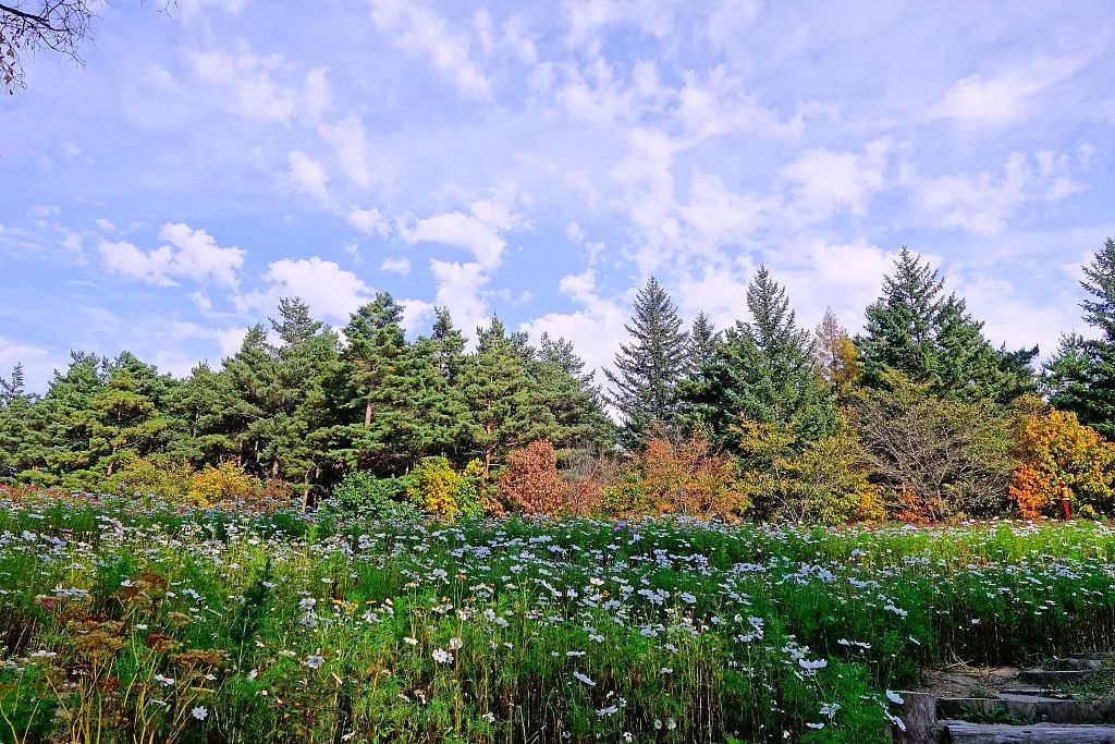 立秋宜下雨还是天晴,这是立秋后最凉快的一天