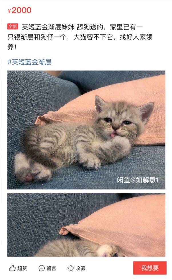 男友送礼物的十大禁忌,男女之间送礼物有什么忌讳