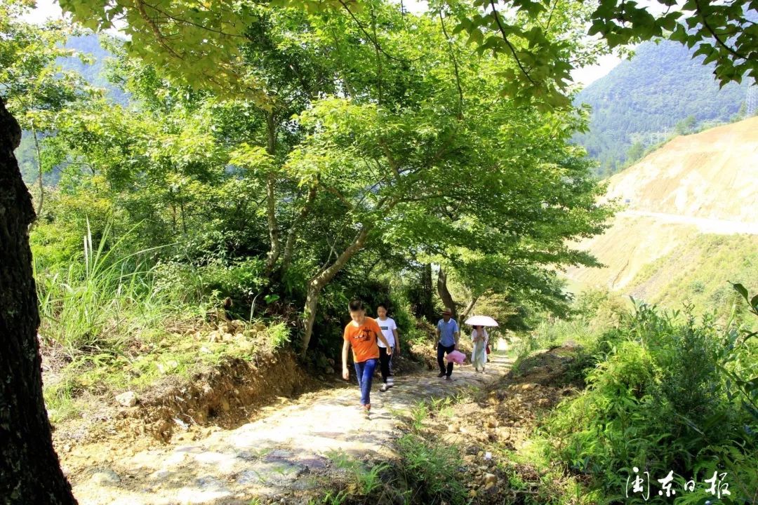 寿宁的车岭和九岭,车岭和九岭