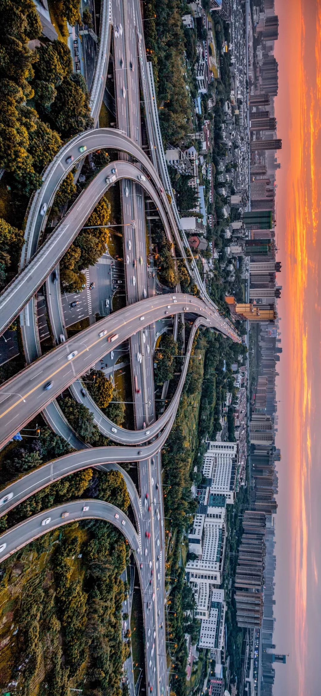 立交桥与高架桥,立交桥立交