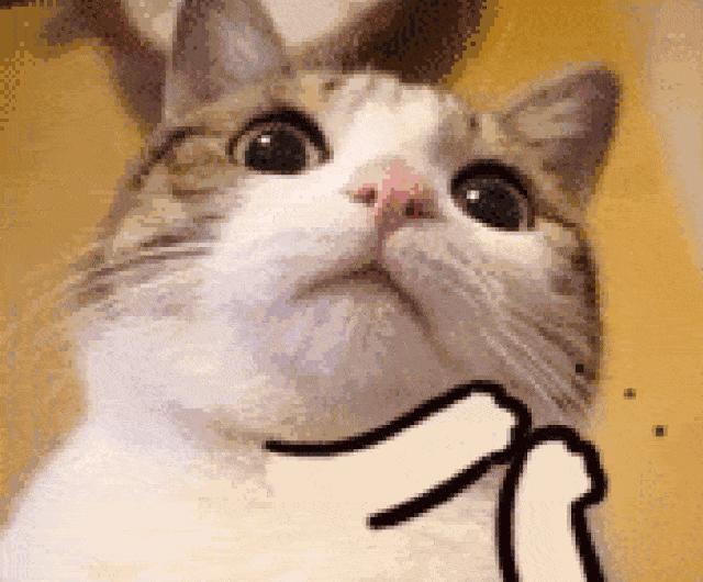 好物推荐洗面奶不一定用贵的,好物优选特好用的洗面奶