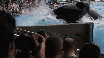 丧心病狂！每帧画面都在捅刀子，多少人忽视了这些人间惨剧…