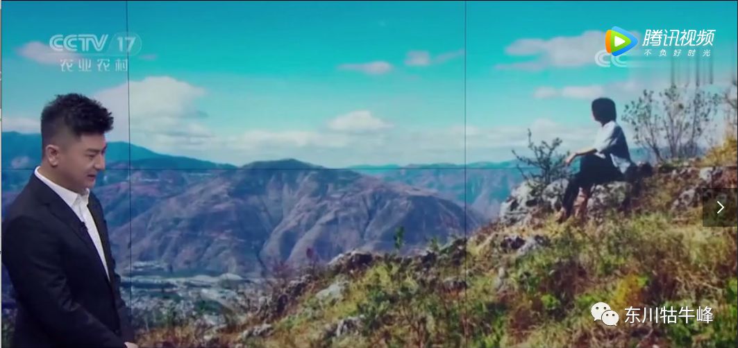 东川茶花仙子,茶花仙子诗全文