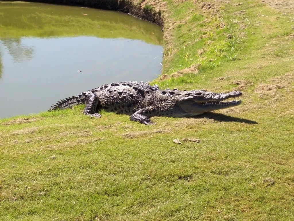 南非高尔夫球旅游,南非高尔夫
