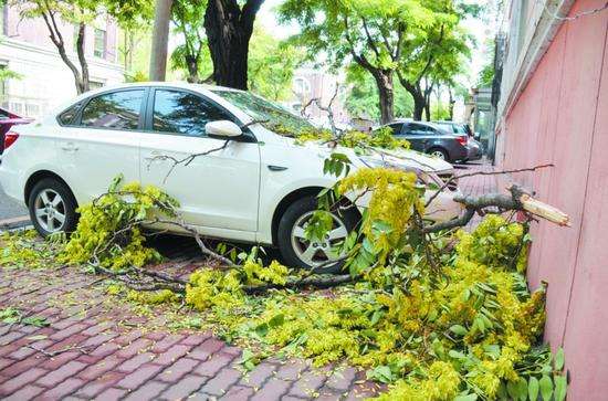 小q说保险,小q讲车