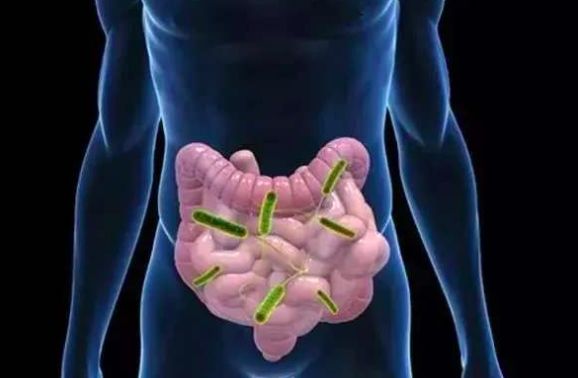 霹雳人妻高情商护夫，稳固地位全靠一身正“气”