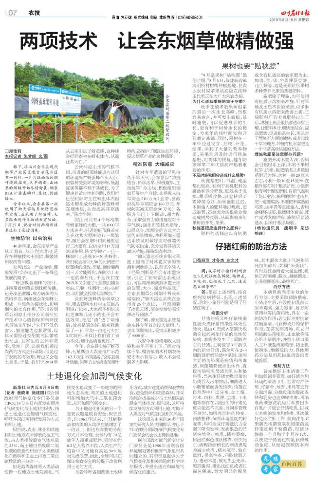 仔猪红泻最佳治疗方法,仔猪红痢的症状