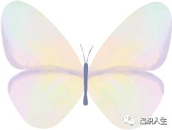 喵夫人品牌线,喵夫人服装工厂