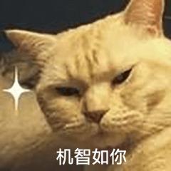 遛狗师一年的工资,遛狗师可以月入过万