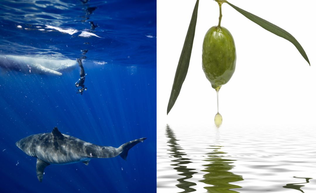 三十岁就有眉间纹法令纹怎么办,30岁法令纹眉心纹深