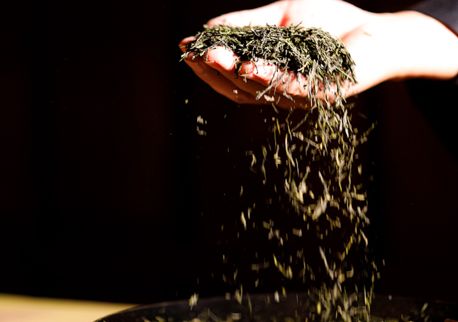 椋庨泤涔嬭嚧,鏃ユ湰浜兘鐢熸椿缇庡