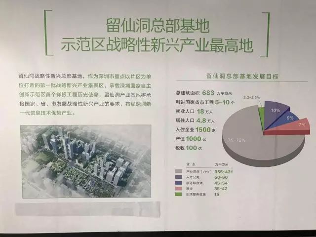 你为什么错过深圳湾,错过深圳