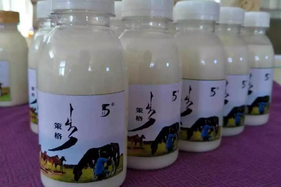 科尔沁传奇,科尔沁大草原的传奇