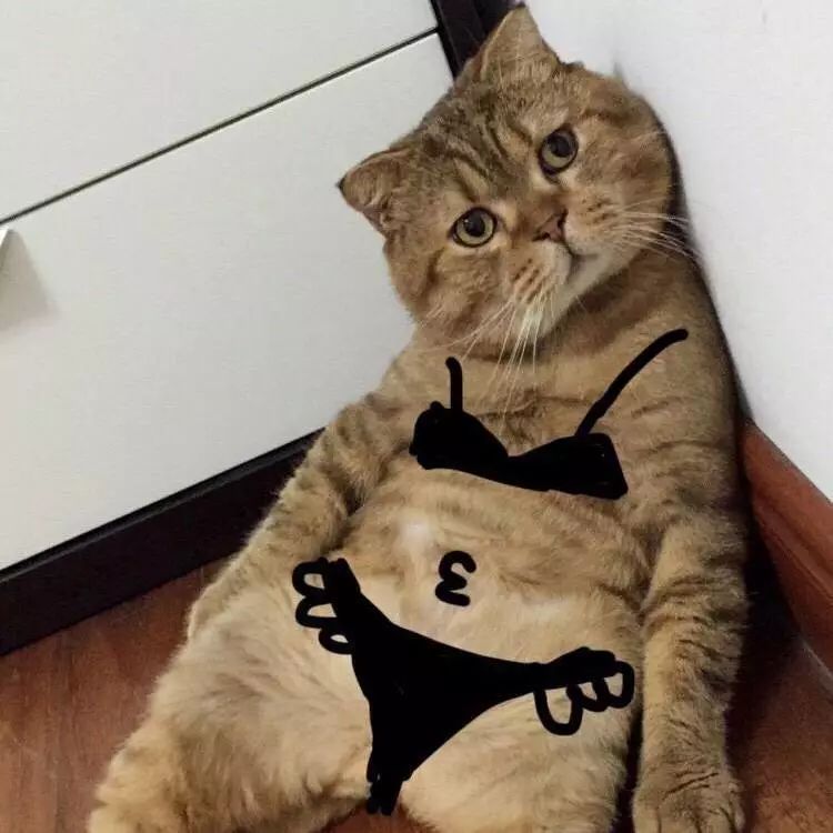 学医的千万不要和同行谈恋爱,千万不要和医学生聊天