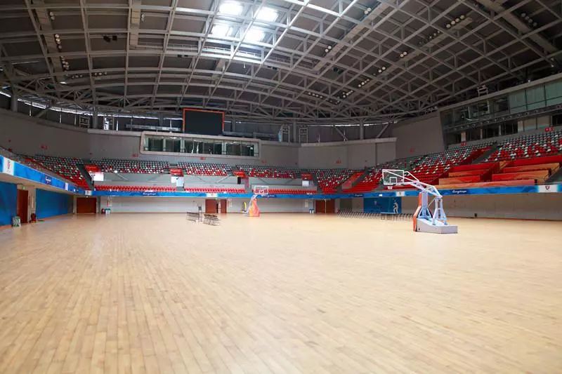 番禺篮球活动,番禺区体育比赛