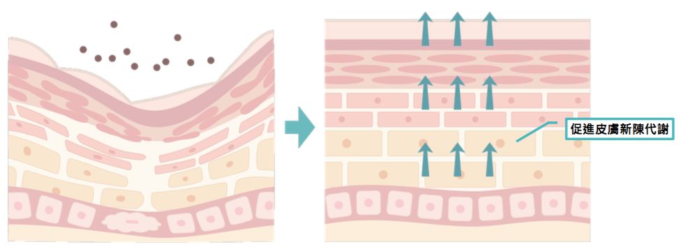 4成抗衰老眼霜抗衰老功效并不显著，同样功效的眼霜价格竟相差7倍？小鱼抗衰老眼霜绿鱼榜单为你揭晓