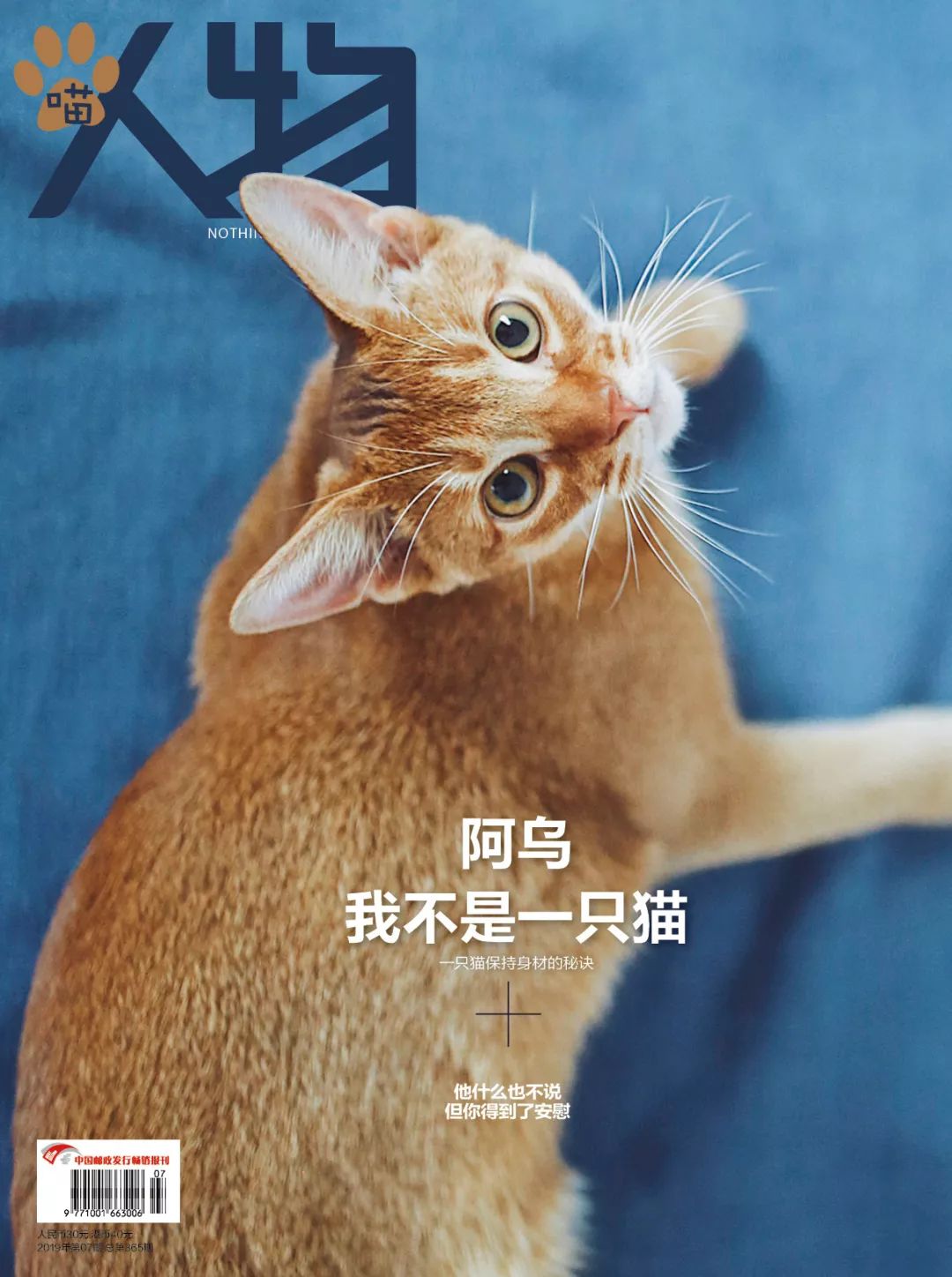 猫知道想主人吗,猫知道下雨下雪