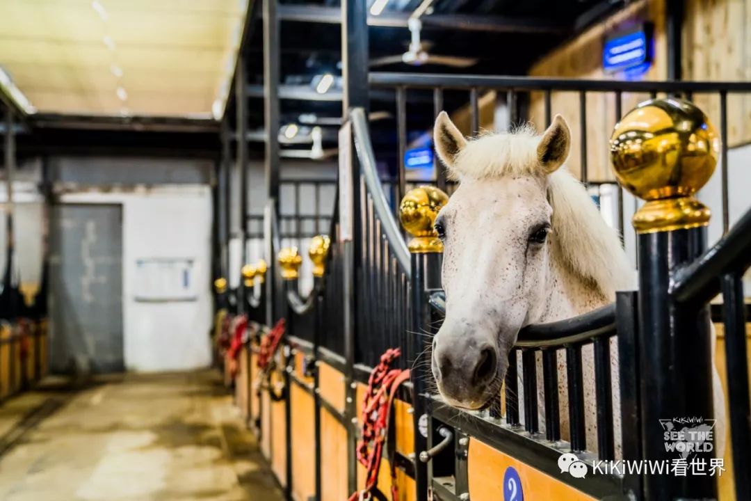 舟山威斯汀离普陀山远吗,舟山威斯汀对应的岛